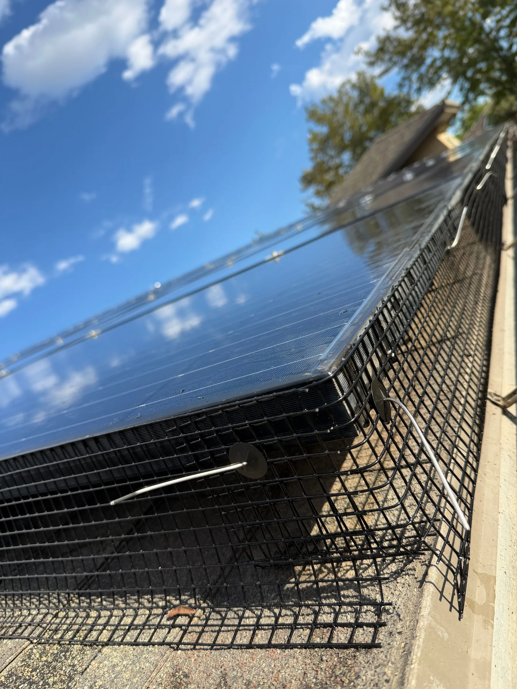Bird barrier mesh clipped to the edge of a solar panel