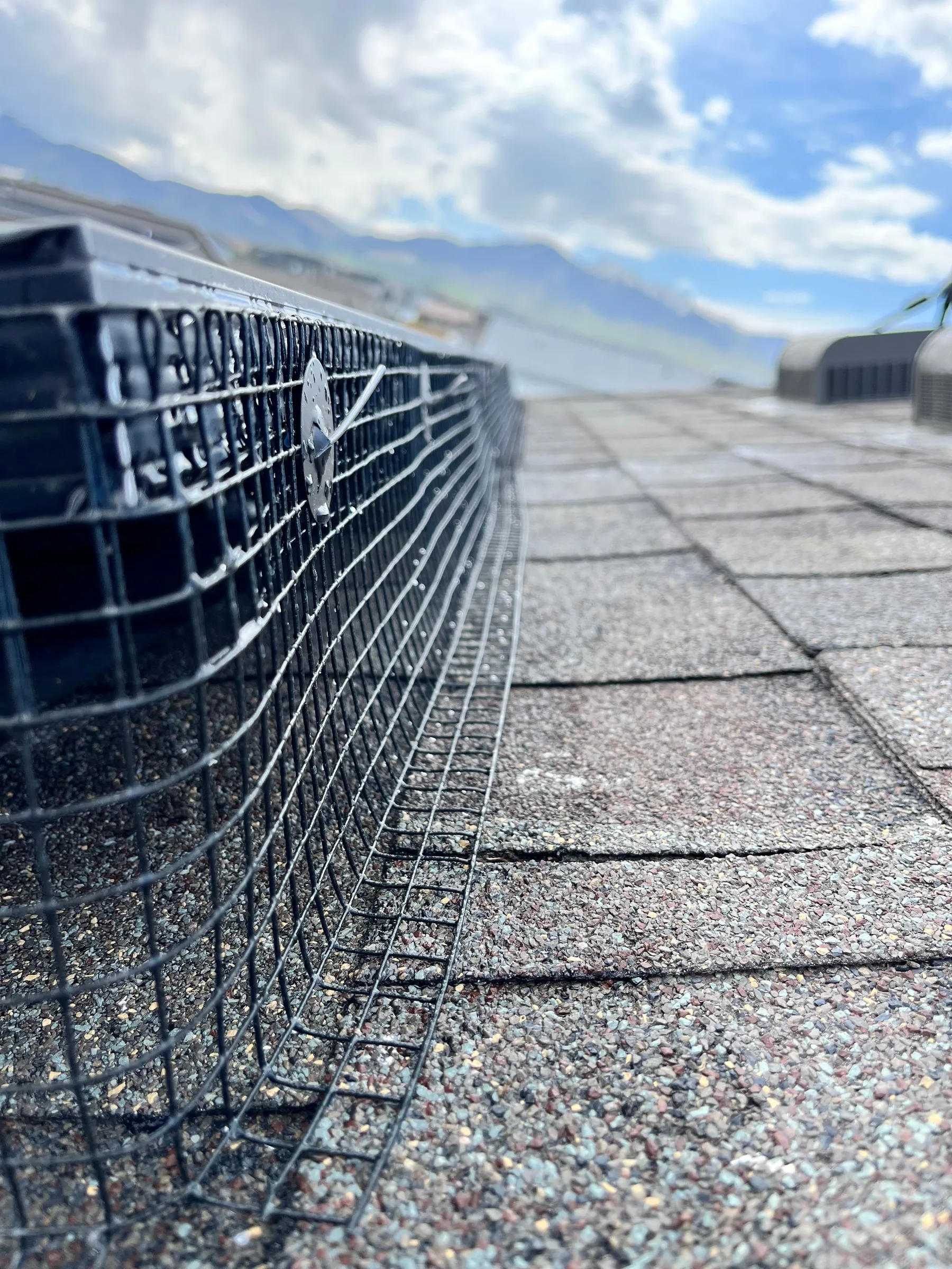 Bird barrier mesh along the edge of an array