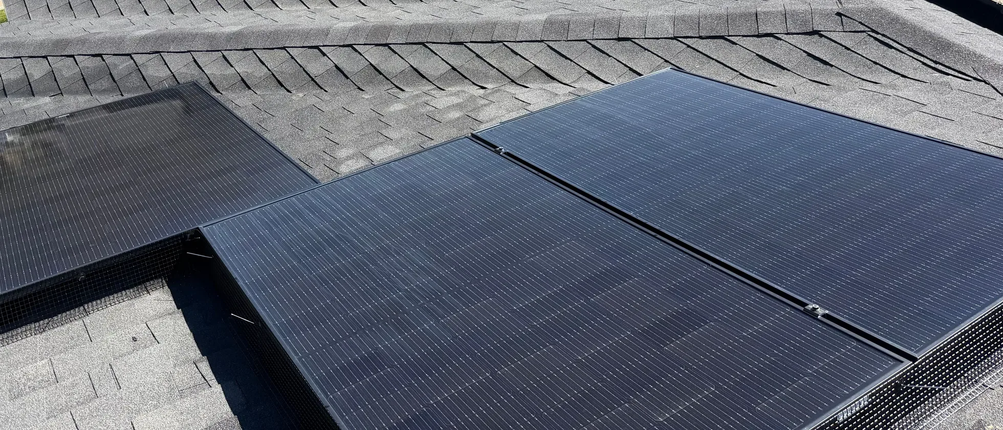 Rooftop solar panels with bird barrier mesh along their edges