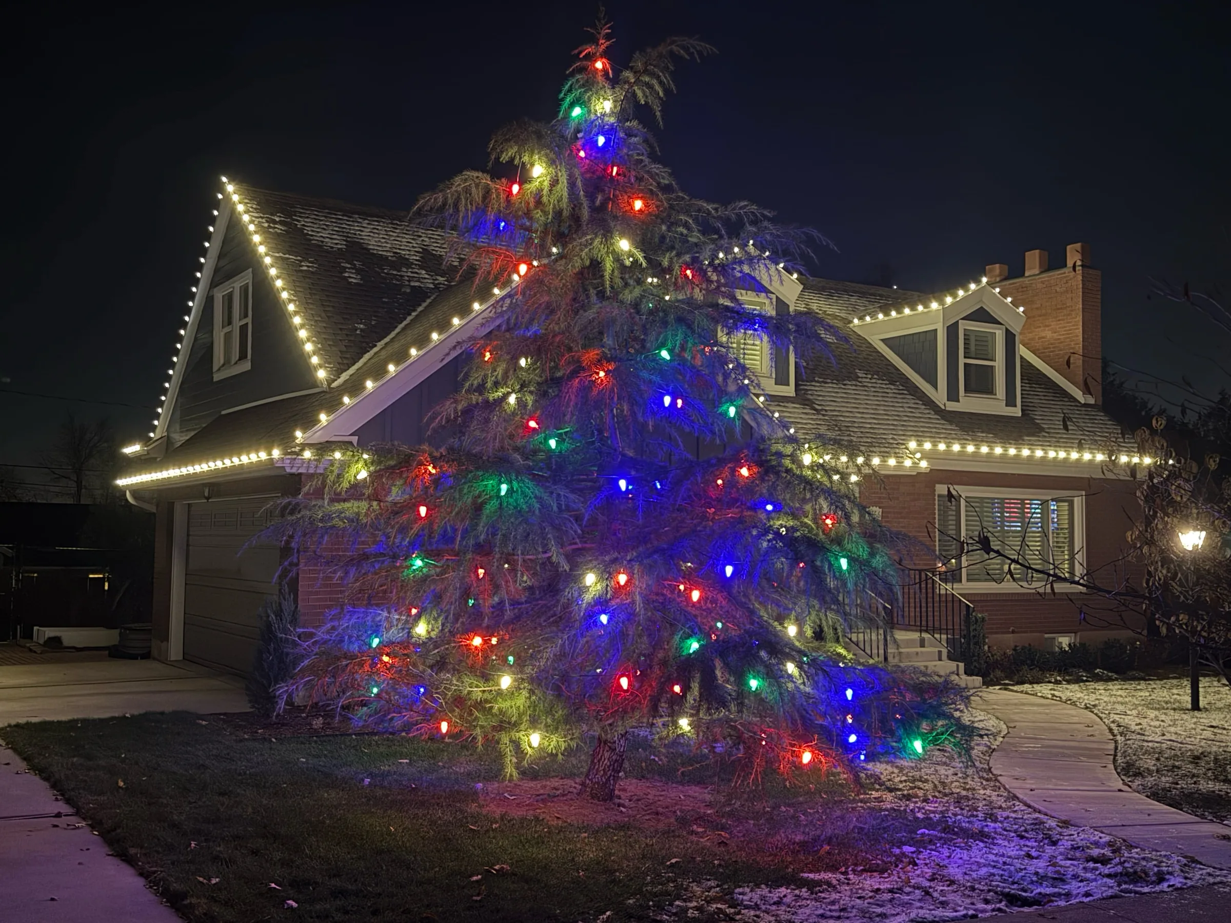 Roofline lights with a large multicolour tree