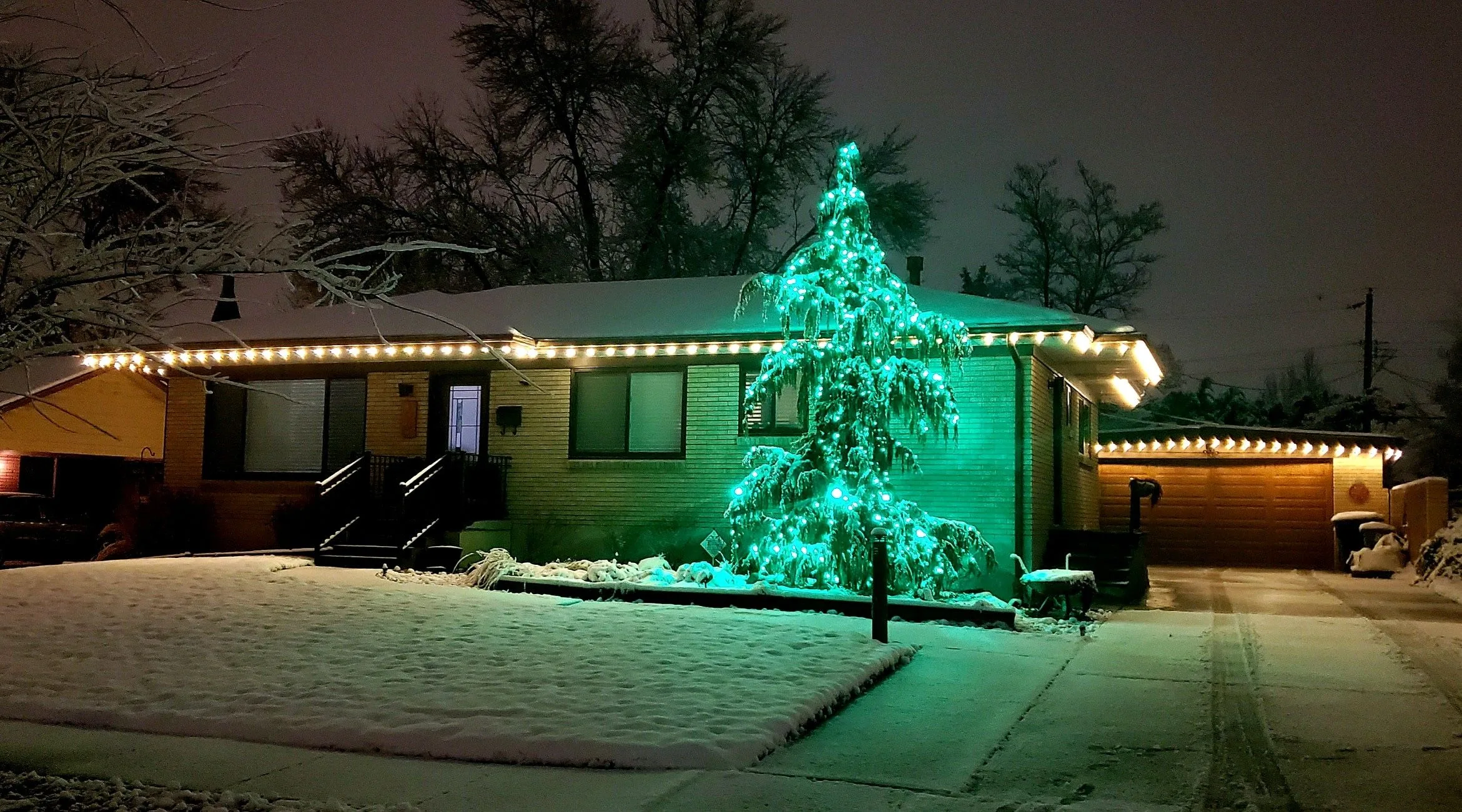 Teal-lit evergreen and warm rooflines in the snow