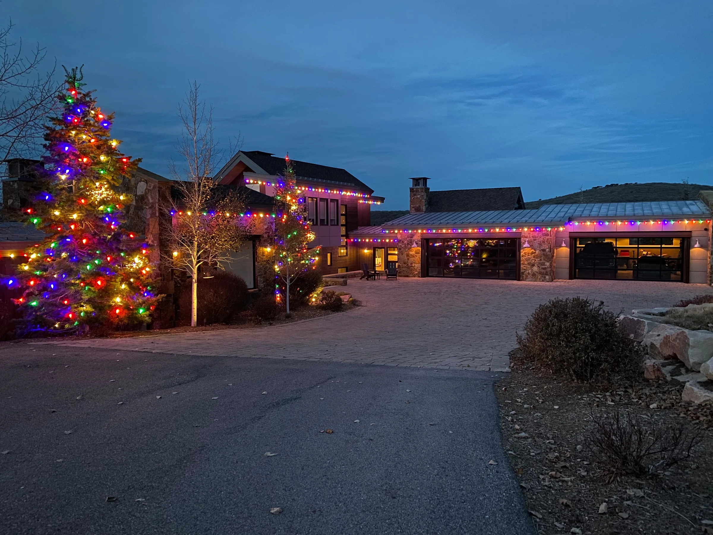 Multicolour tree and roofline lights along a driveway